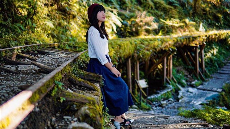 全台夢幻鐵路之旅　漫步山野森林浴