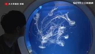 桃園水族館攻略　與動物0距離接觸