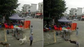 老婦被狗繩絆倒，頭部著地當場倒地不起。（圖／翻攝自搜狐）