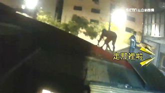 員警攻堅賭場！賭客驚慌爬屋頂、跳窗