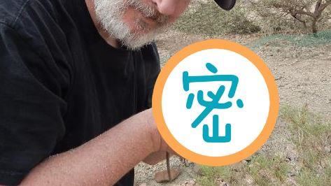 消失50年！最神秘生物再度現身樹林