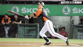 ▲統一獅外野手林安可。（圖／記者劉彥池攝影）