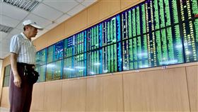 台股綠油油華為風暴持續發酵，台股20日盤中一度重挫逾600點，跌破12200點大關，投資人觀看綠油油盤勢。中央社記者董俊志攝  109年8月20日