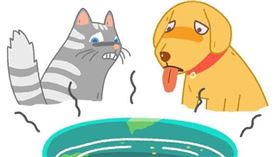 名家專用／毛起來MAOUP（勿用）