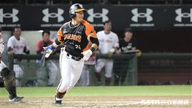 ▲統一獅外野手陳傑憲。（圖／記者劉彥池攝影）