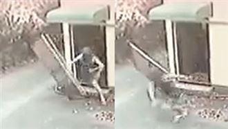 不知屋主在家　笨賊嚇得「破門而出」