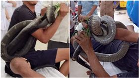 徒手抓3米眼鏡王蛇！男被咬急送醫…狂打15劑血清下場曝（圖／翻攝自Phòng khám Chuyên khoa YHCT Phú Tuệ臉書）