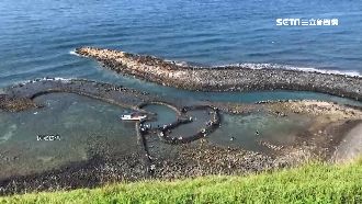 七美雙心石滬湧拉崙　漁民樂賺10萬