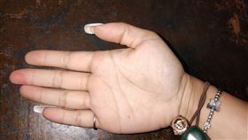 ▲手相。（圖／記者林辰彥攝影）