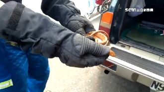 開車門驚見橘蛇　婦人急求救消防人員