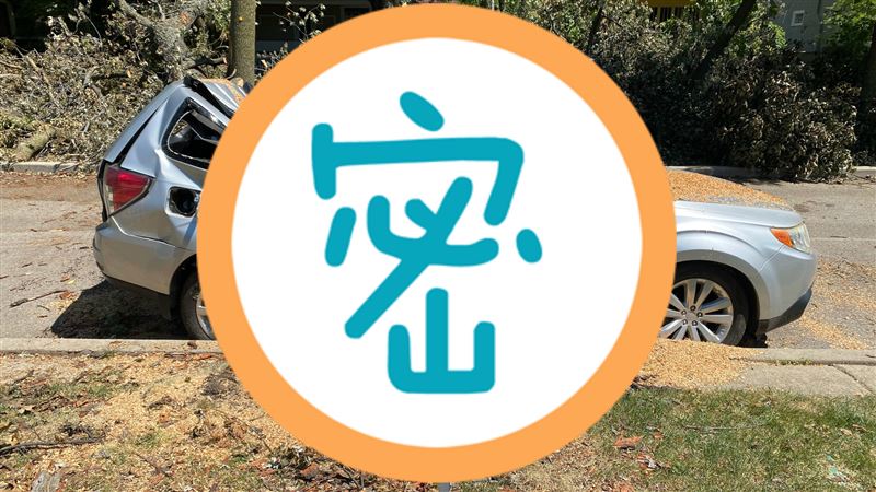 愛車遭砸毀　他將殘骸改成爆紅藝術品