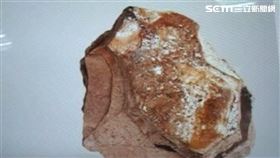 鯨魚大便龍涎香
