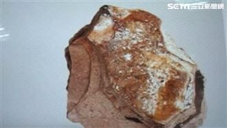 漁民散步撿到怪石　飄香味爽賺9千萬