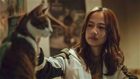 簡嫚書,貓咪,家庭,破碎,梁正群,虐貓。圖／LINE TV提供