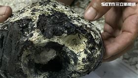 蘭嶼飄異味！男釣魚撿到「超香大便」　價值600萬驚呆