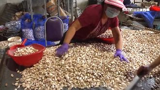 國外蒜頭進不來　每公斤飆破200元