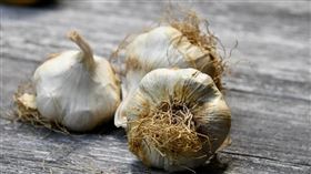 大蒜，蒜頭（圖／翻攝自unsplash）