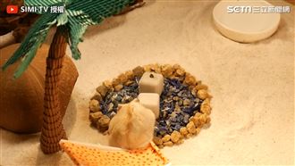 迷你沙灘、綠洲　韓網友打造倉鼠樂園