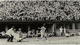 金龍少棒（圖／翻攝自金龍再現官方網站）