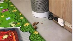 3歲孩家中亂「拉屎」　曝真相網笑翻（圖／翻攝自爆怨公社）