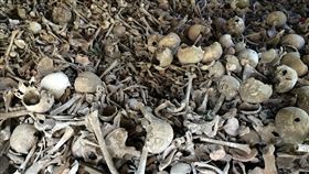 這些骨骸是來自200年前的200多名死刑犯。（圖／翻攝自pixabay）