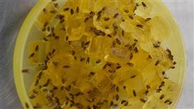 ▲（圖／業者提供）