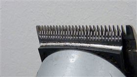 少女慘遭家人剃髮。（圖／翻攝自pixabay）