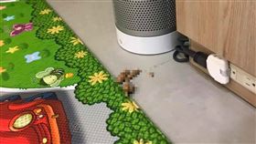 媽媽,黏土,女兒,大便,形狀,顏色