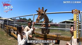 ▲ 頑皮世界人氣王「皮皮」（圖／社群中心提供）