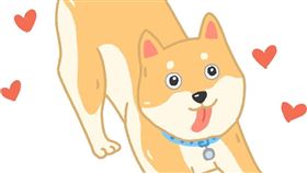 名家專用／毛起來MAOUP（勿用）