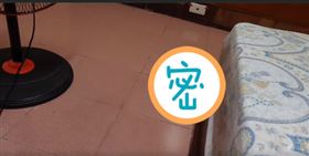 喵星人！僅露一顆頭狂盯，７月半嚇壞網友。（圖／翻攝自爆怨公社）