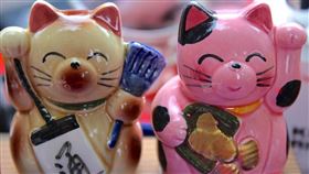 ▲生肖；發財（圖／翻攝自pixabay）