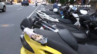 北市推「路邊停車」票　月費400元