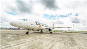 台灣虎航航空體驗營。（圖／台灣虎航提供）