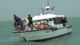 海上非法布網破壞生態　金門海巡掃蕩清
