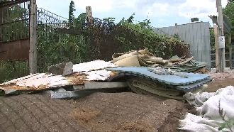 出租土地反賠千萬　環保蟑螂橫行北市