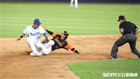 ▲統一獅三壘手陳鏞基生涯百盜。（圖／記者劉彥池攝影）