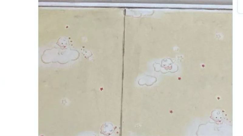 房間飄腥臭　她抬頭看…天花板狂滴血