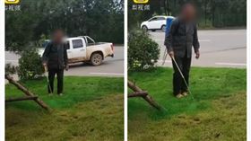 山西,草坪,染劑,綠色（圖／翻攝自梨視頻）