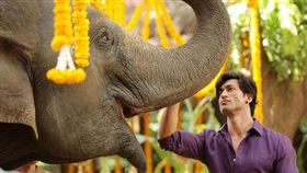 名家專用／iLOOKER電影網（勿用）