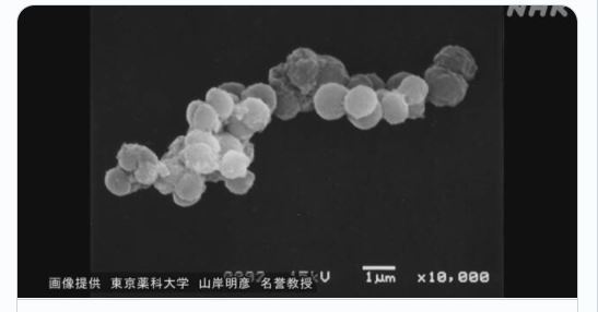 研究：細菌能在太空存活3年