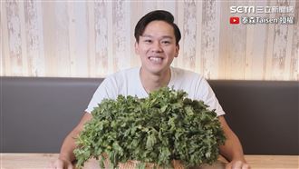 每天吃1公斤香菜　體重基代出現變化