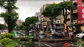 路樹,倒塌,女大生,安全島,台南（圖／翻攝畫面）