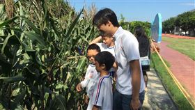 ▲校園裡種植玉米田，讓小朋友參與玉米的生長歷程。（圖／囍朵農創-樂紫提供）