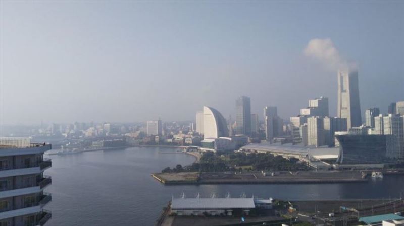東京新門戶郵輪碼頭　大型客船都可停