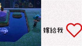 有網友利用動物森友會求婚成功。（圖／翻攝自Dcard）