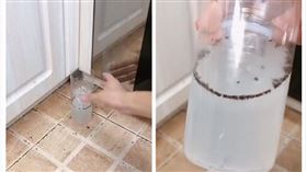 夏天,蚊蟲,除蟲,檸檬汁,花露水（圖／翻攝自最治癒的視頻微博）