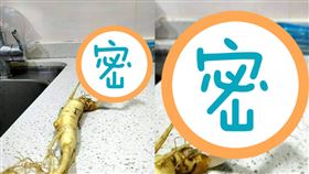 人蔘,冰箱,左手,發芽(翻攝自 翻攝自 爆廢公社)