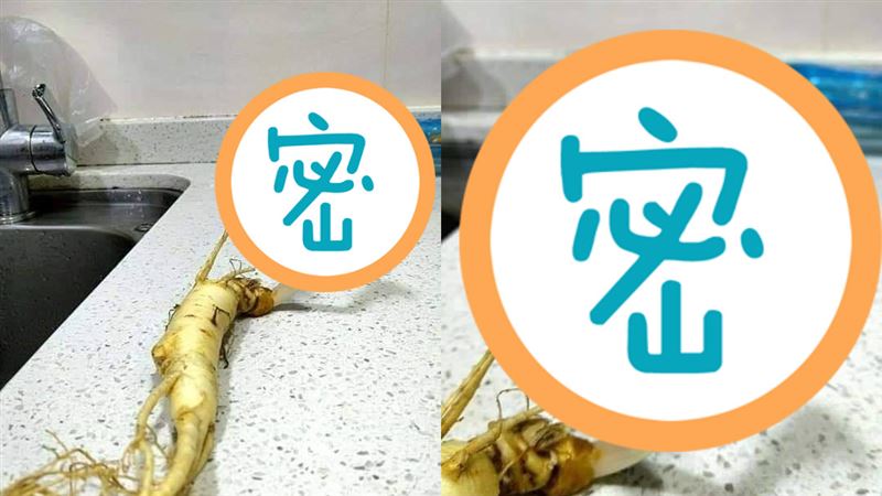 放冰箱半年　人蔘居然「長出左手」