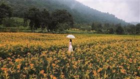 　名家專用／台灣旅行趣（勿用）
